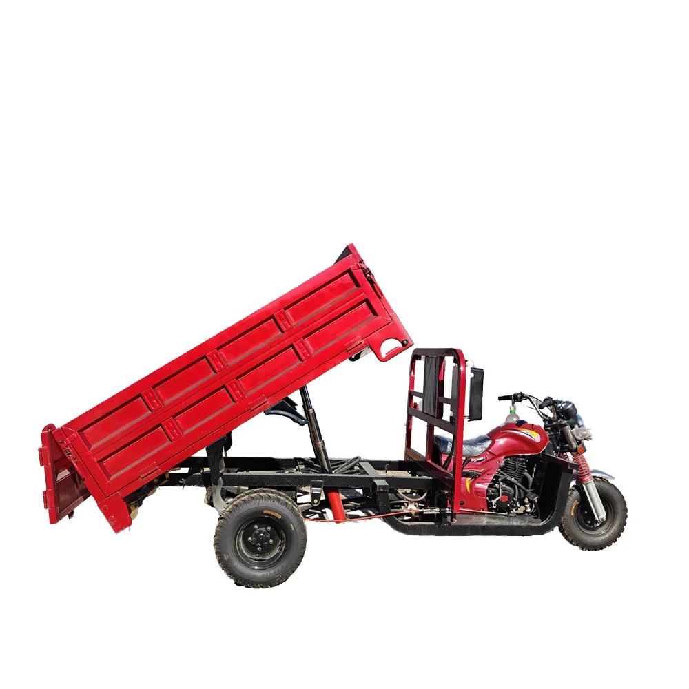 New Style 5 Wheel 300cc Cargo Passengers Closed Fuel Gasoline Moto Motorise Powerful Motorcycle Tricycle