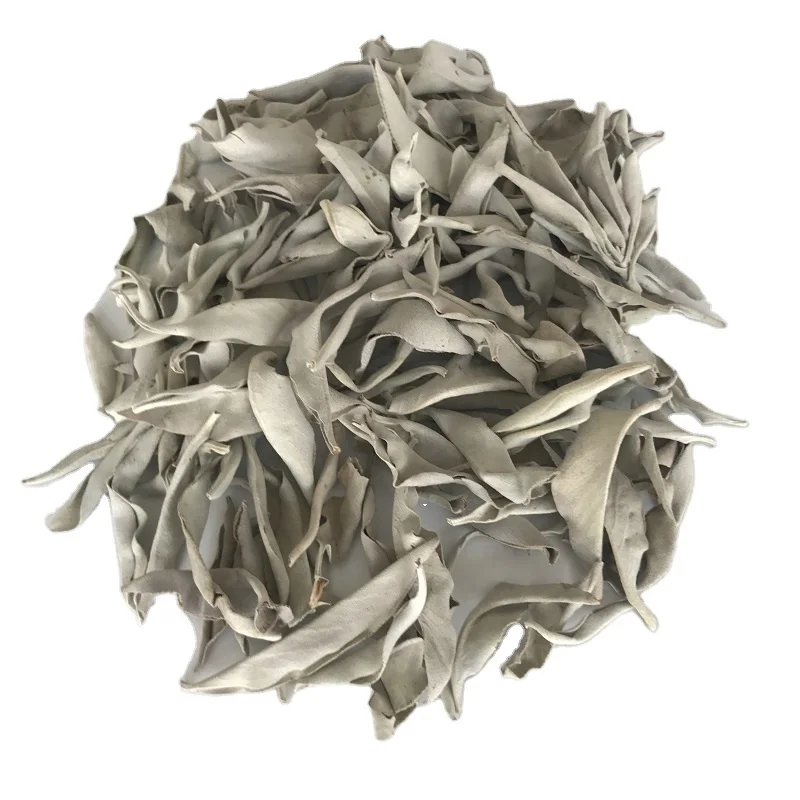 I001 Shu wei cao Supply chinese dried 100g per bag white sage leaves for spice