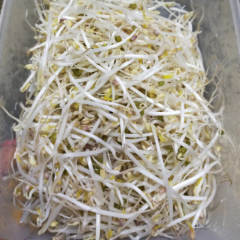 2 6-3 6 мм Sprouting Grade Green Mung Bean для вьетнамского рынка