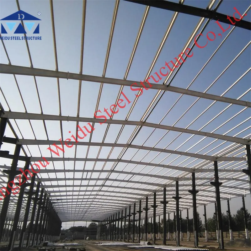Steel structure construction buildings/houses/workshops/frameworks Cattle Shed Livestock House
