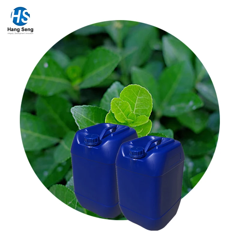 Bulk Wholesale 100% Pure Wintergreen Oil/Winter Green Oil Bulk/Pure Oil Winter Green