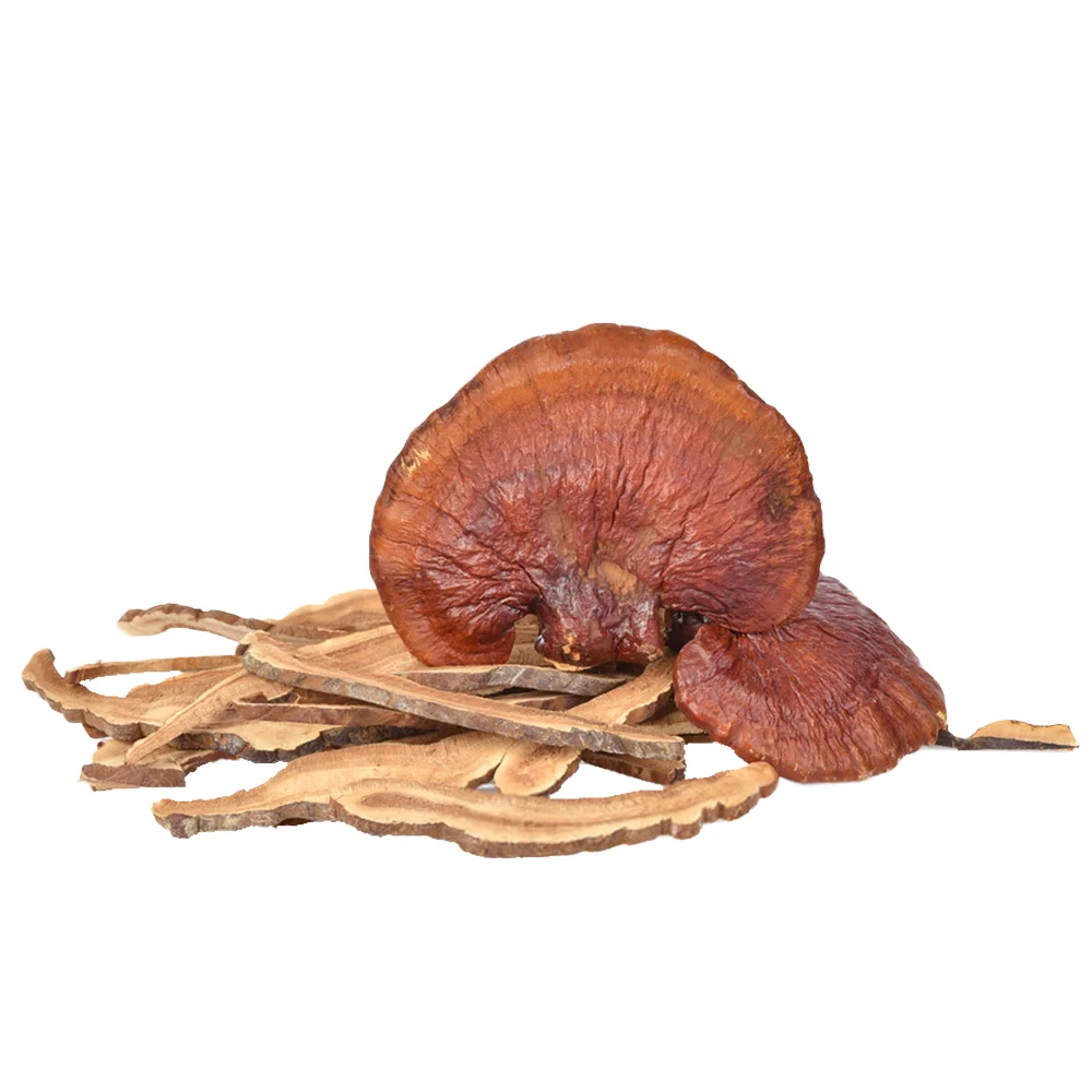 Professional Herbs Supplier Naturalin Health Supplements  4% Triterpenes  Ganoderma Lucidum Extracts