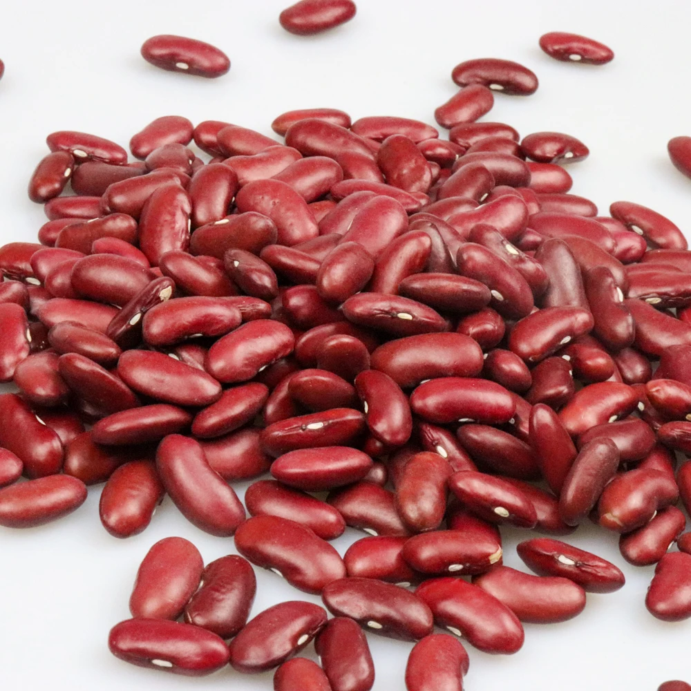 
Kidney bean fast delivery high quality dark red soybeans organic dried bulk 