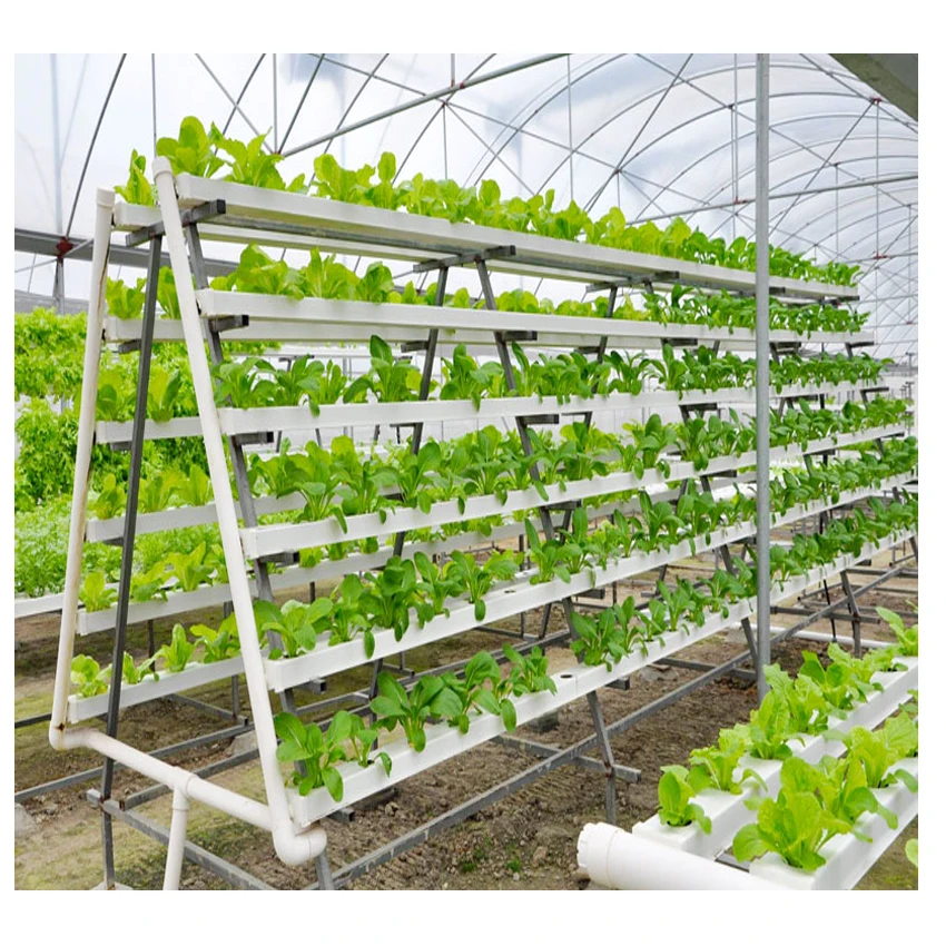 greenhouse hydroponic lettuce system vertical hydroponic growing system