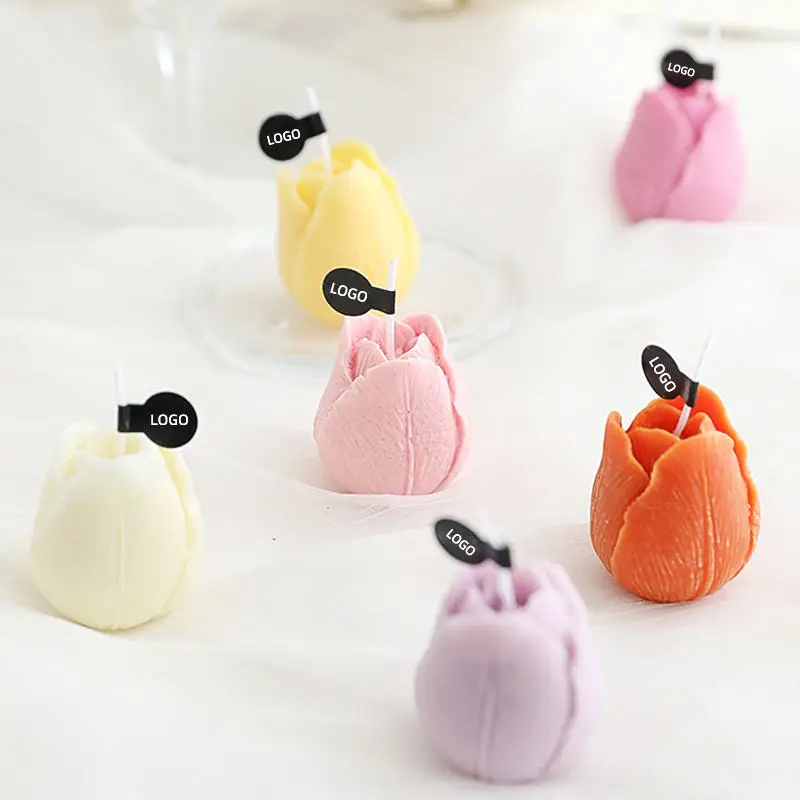 DGC Cute handmade aromatherapy candle succulent small plant shape scented candle gift set candle craft