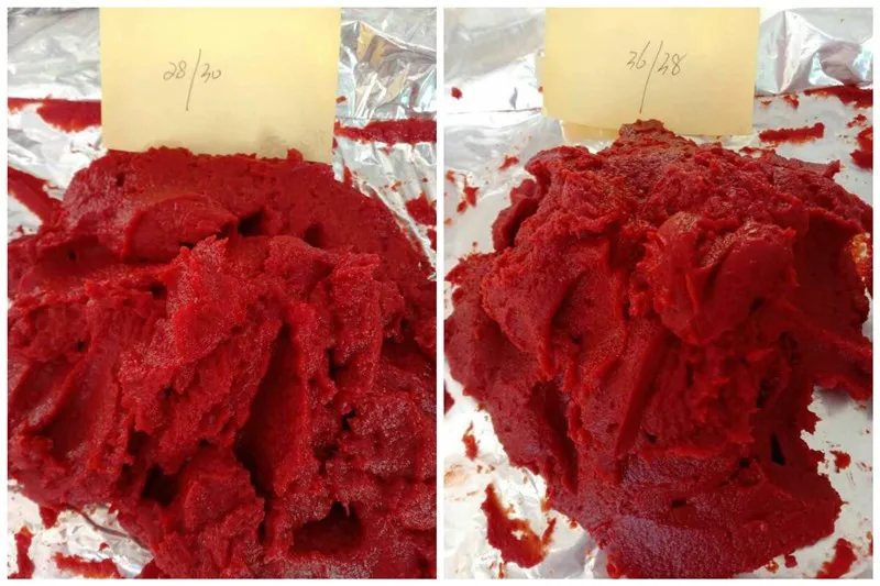 Sachet 70g tomato paste in 22-24 28-30 brix for Africa