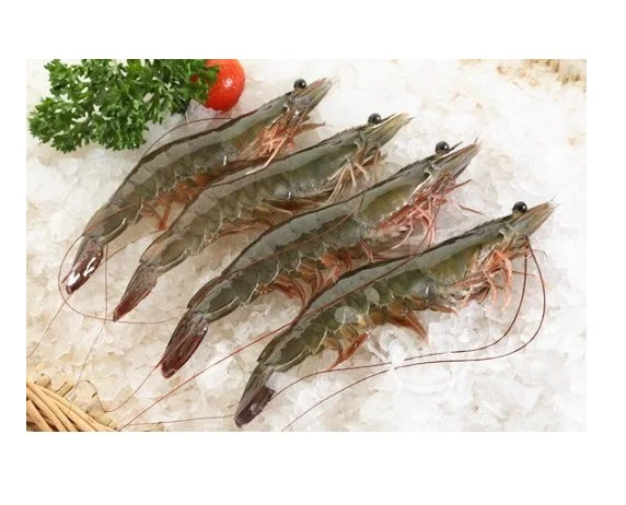 Hot Sale Seafood Frozen Vannamei Shrimps With Cheap Price Quality White Prawns For Export (Thai Lien Company , Ms Phuong : +8478