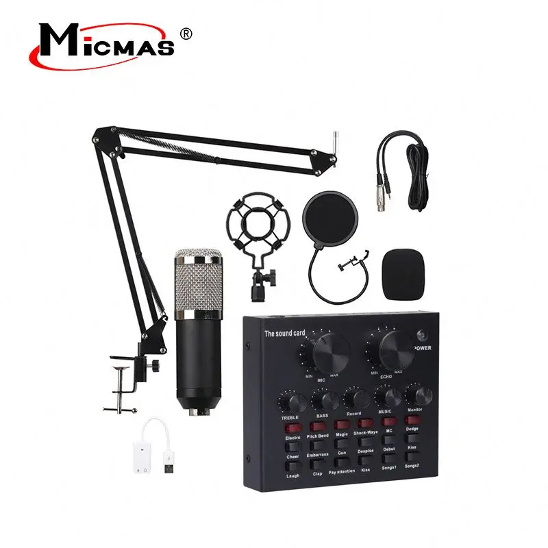 Micmas Wholesale Professional Condenser Microphone With Great Price