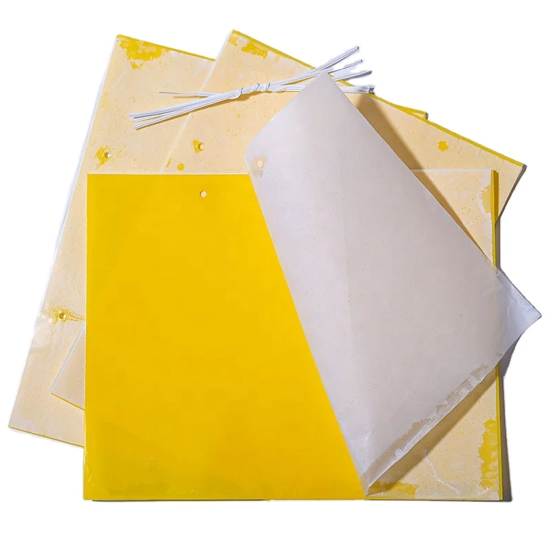 High Cost-effective Yellow PP Sheets Insect Glue Boards Catch Fruit Fly Sticky Bug Traps