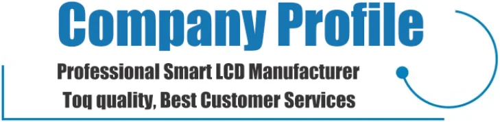 Company profile title.png