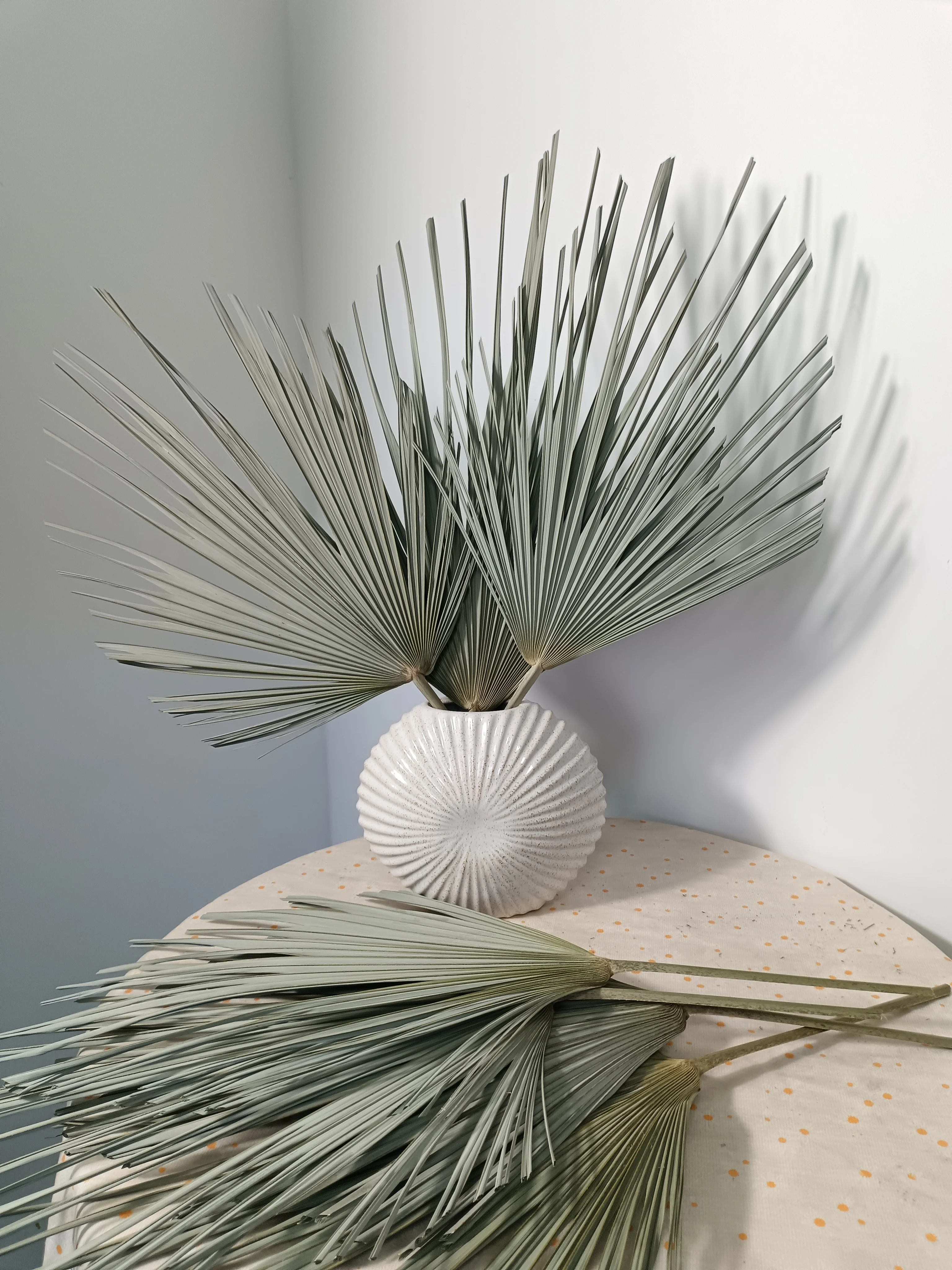 dried  natural spear palm fronds, sun fans, bifurcated spraying shape leaves,original Chinese supplier cheapest