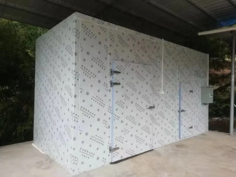 2000Kg Customized OEM ODM Heat Pump Cuttlefish Squid Calamari Octopus Fish Meat Food Drying Equipment