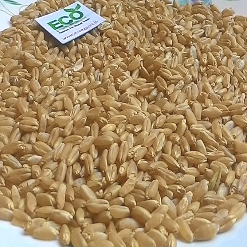 Продавец жёсткой пшеницы из Индии