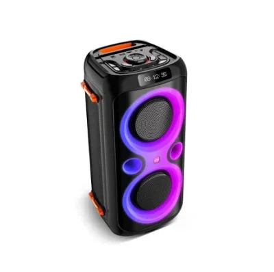 Temeisheng Tws Active PRO Audio Wireless PA DJ Rechargeable Professional Bluetooth Portable Type Party Speaker TMS-619