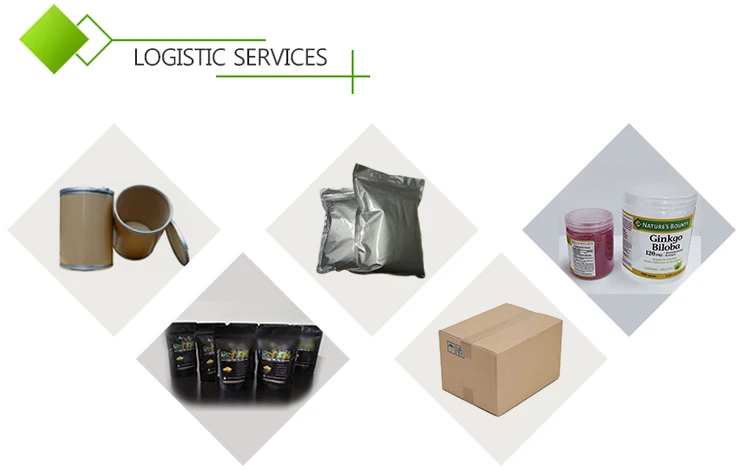 China Manufacture Shilajit Root Extract Powder.jpg