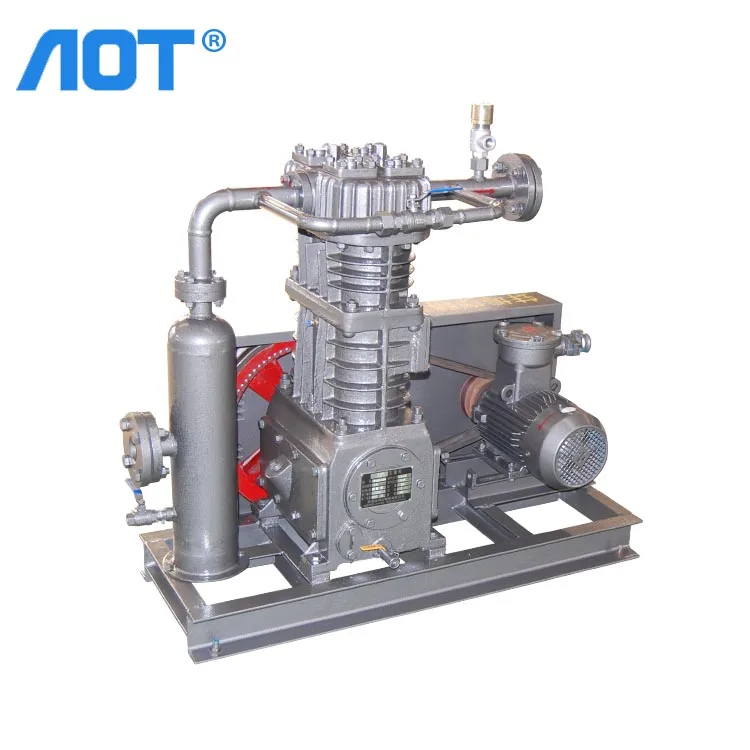 Custom China Manufacturers Biogas Compressor 250bar Methane Gas Digesters Methane Compressor for Sale