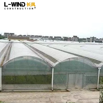 Multi Span Plastic Film Greenhouse For Agriculture