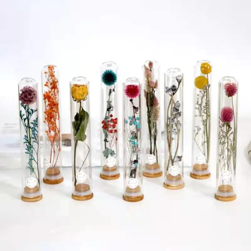 B-1 Amazon top seller dried flowers Test tube glass bottle home decor decorative flowers