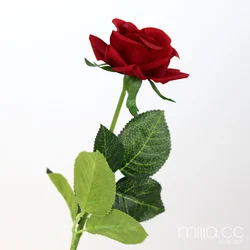 flowers for party hotel wedding table decorations Moisturizing Feel Bride Wedding Flower Bouquet Single Rose