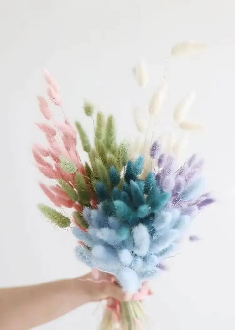 Manufacturers sell dried flowers, small reed dried flowers, cross-border Amazon pampas grass