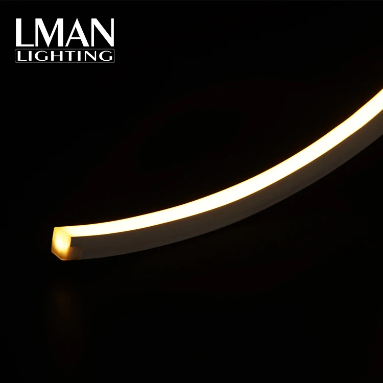 Large Size Silicone Neon Rope 16*16 mm IP67 Silicone Extrusion DC24V Led Neon Light