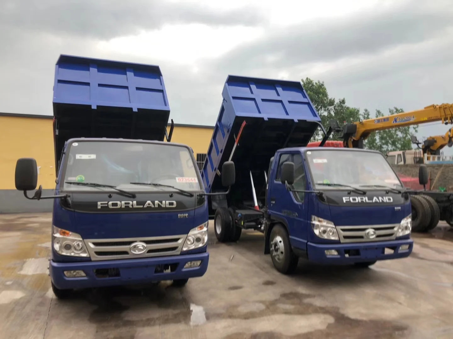 mmexport1704714297674.jpg