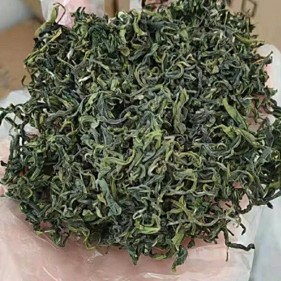 Green Tea Leaf Green Tea