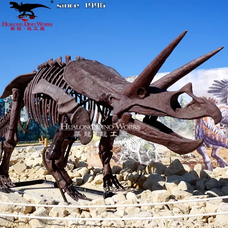 High quality simulation dinosaur fossil model of dino park