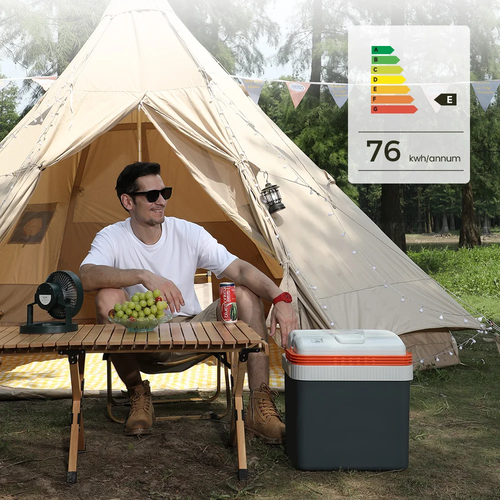 Evercool 24l Car Fridge Thermoelectric Cooler And Warmer Dc 12v Ac For Outdoor Camping Ec-0265