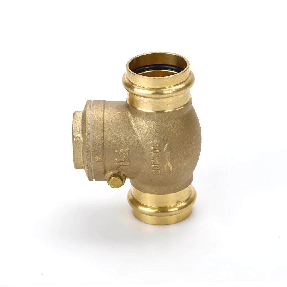 OEM ODM Chinese factory Press Check Valve Lead Free Brass Valve