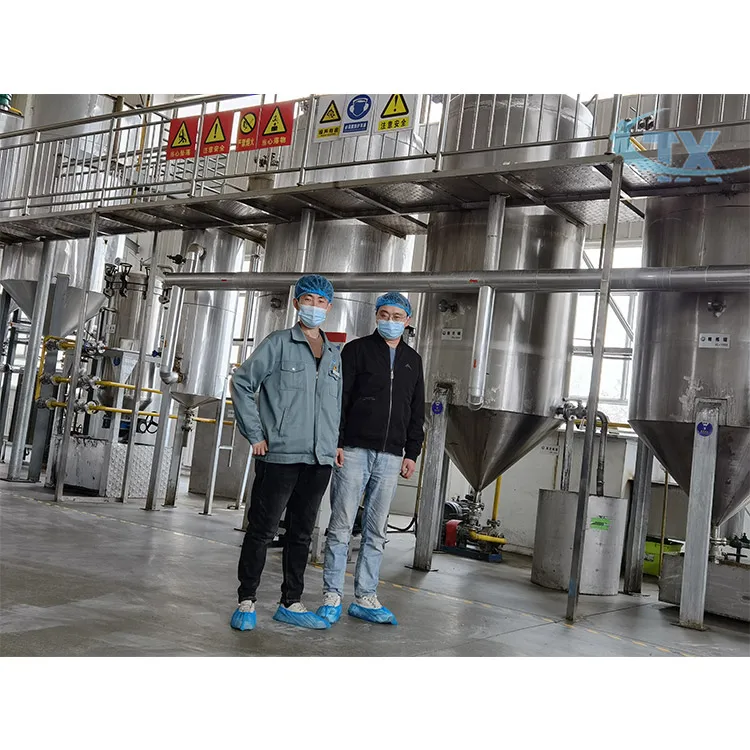 High Quality Peanut Oil Refining Machine Cooking Vegetable Oil Refining Plant Price