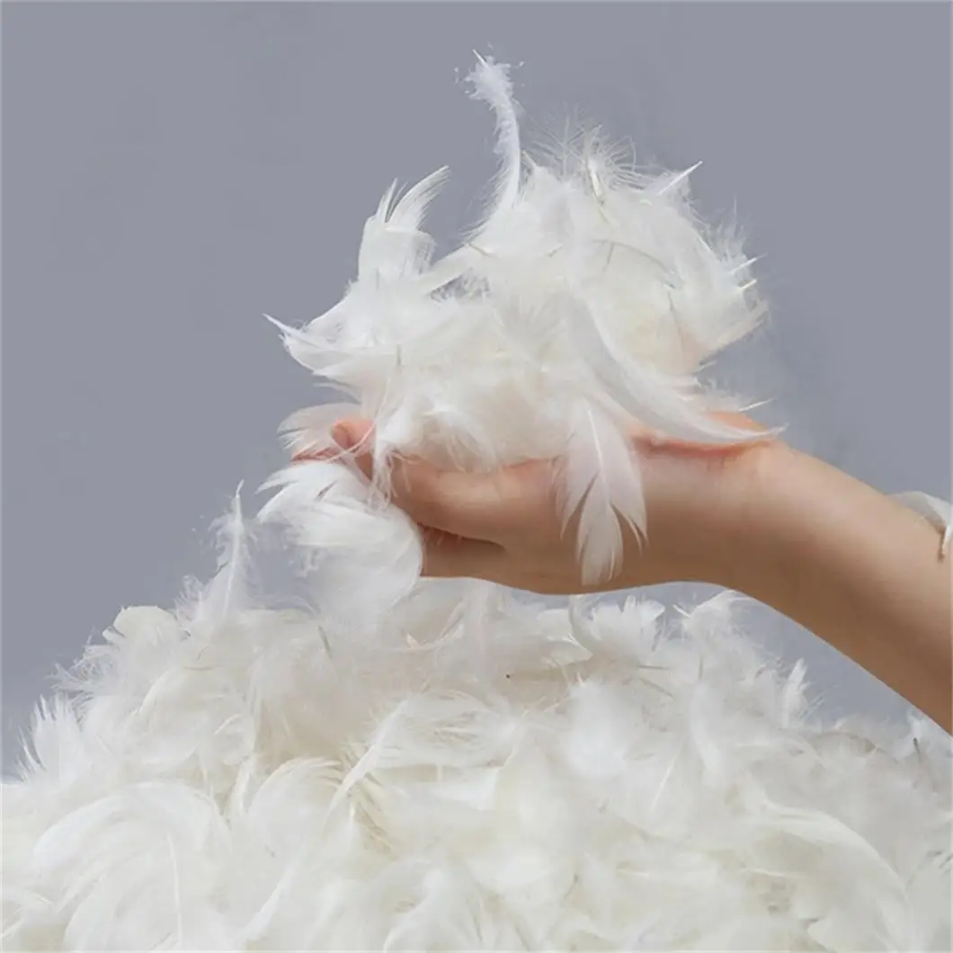 Chinese Factory  Sell Duck Goose Down Feather Sofa Cushion Pillow Material