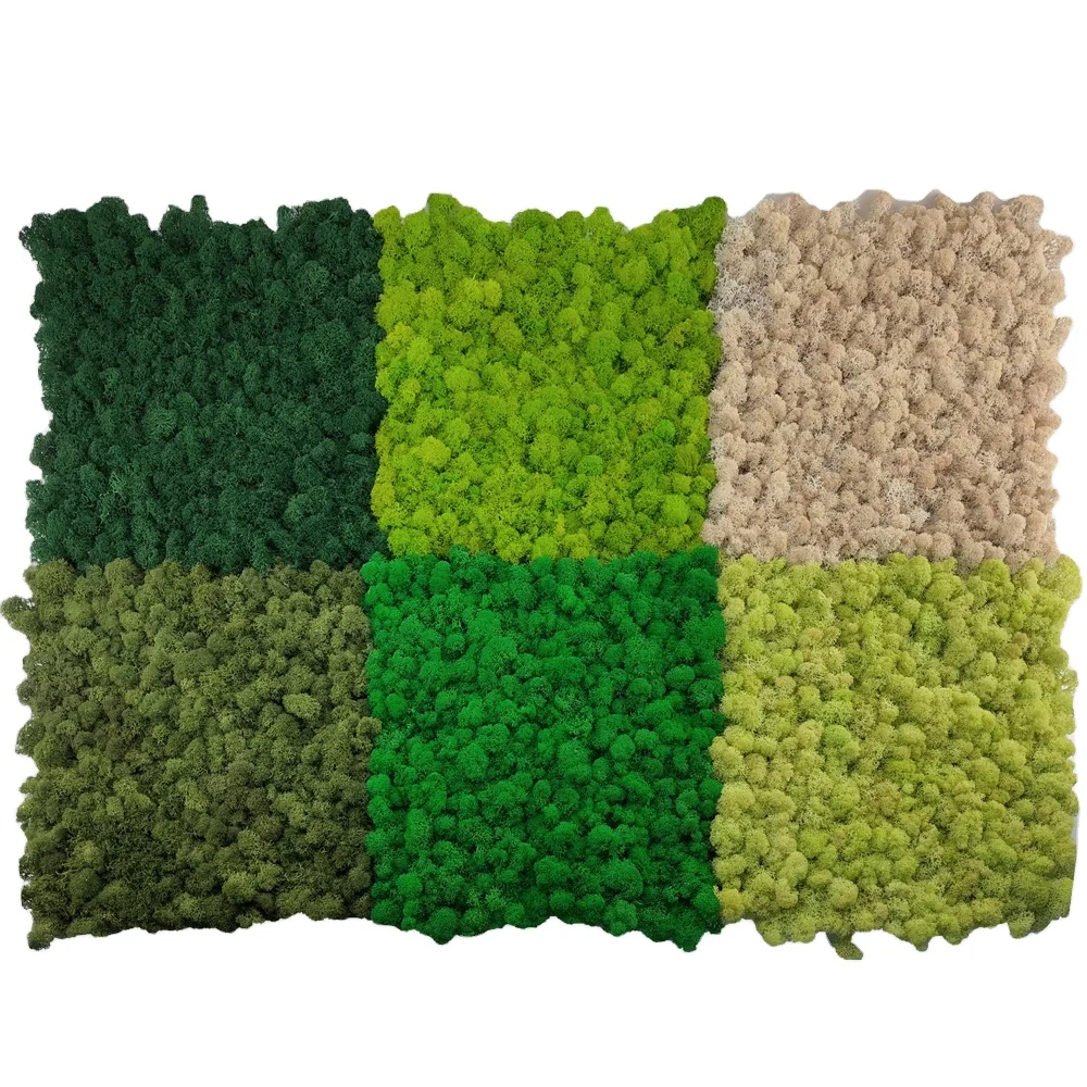 Customized Home Decor Decoration Interior Beautiful Stabilized Preserved Reindeer Moss Panel Wall