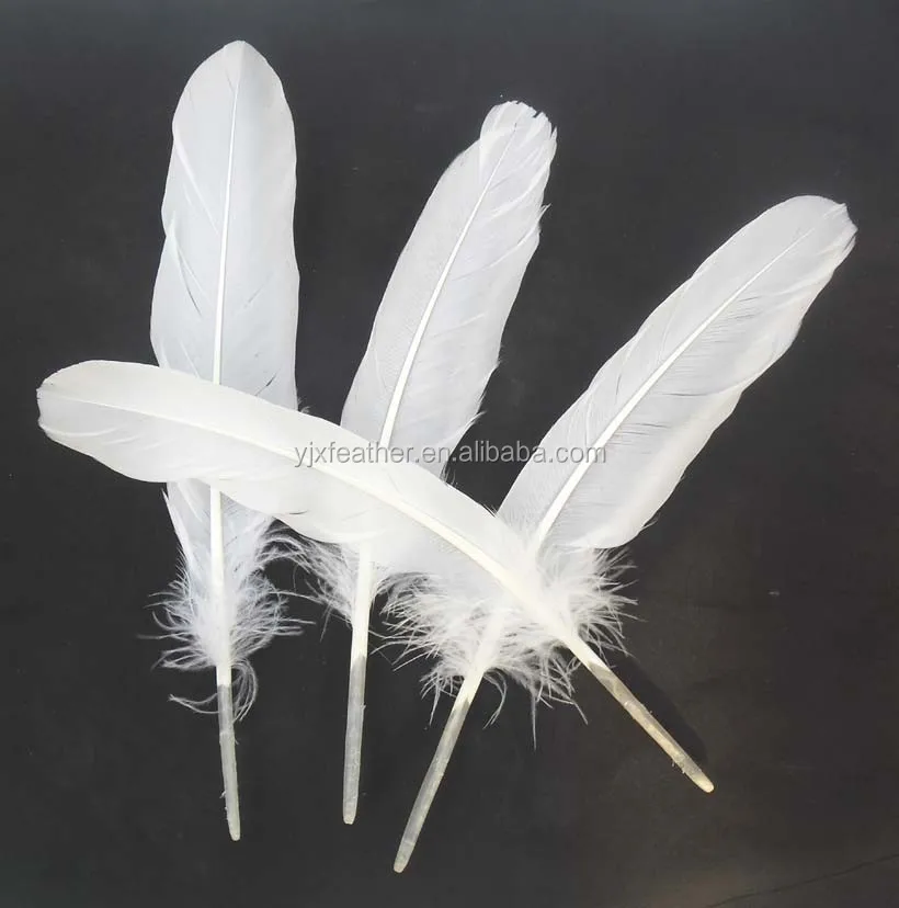 Cheap sale 15-20cm White Goose Feathers for garment DIY accessories