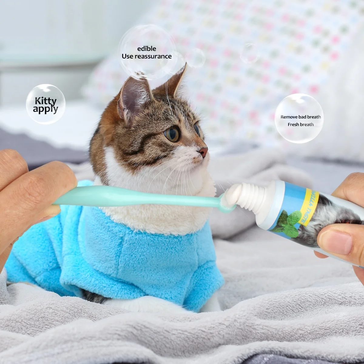 Factory Wholesale Color Box Packaging Dog Dental Care Cat Tooth Paste Dog Pet Toothpaste