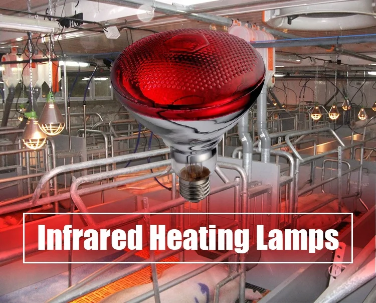 saving energy bulb explosion proof infrared heating lamp for animals