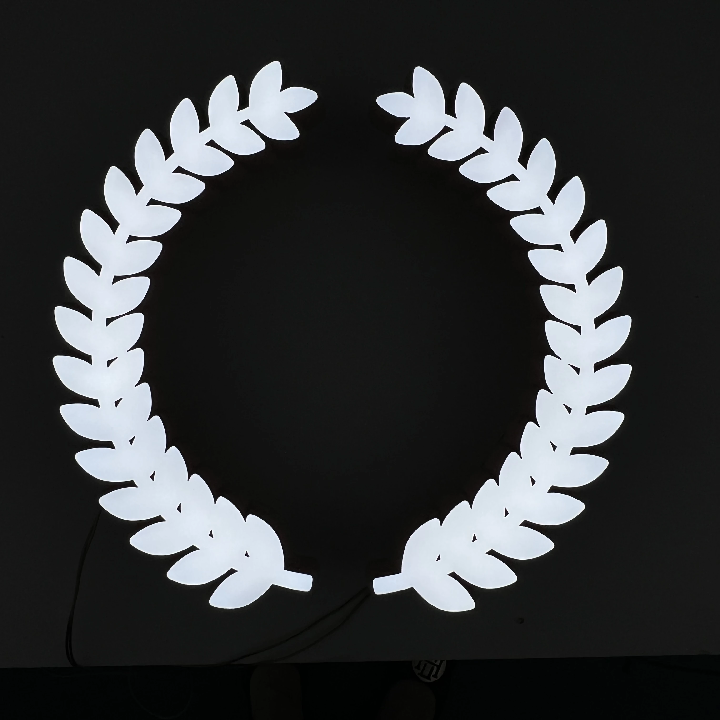 Skyseen Frontlit Acrylic Brand Sign Special Design Customize Advertising