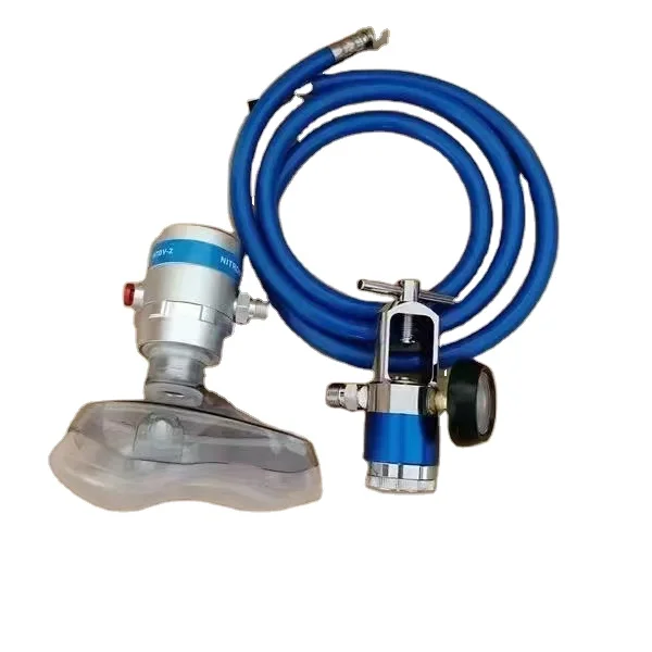 Medical Oxygen demand Valve Resuscitator and Pin index oxygen regulator system for oxygen therapy