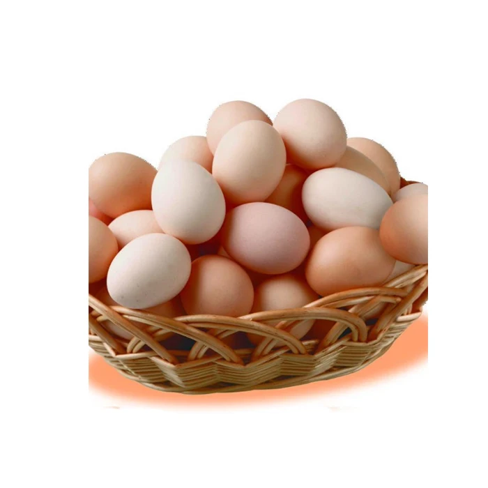 Farm Fresh Chicken Table Eggs Brown and White Shell Chicken Eggs in South Africa Style Color Shelf Origin