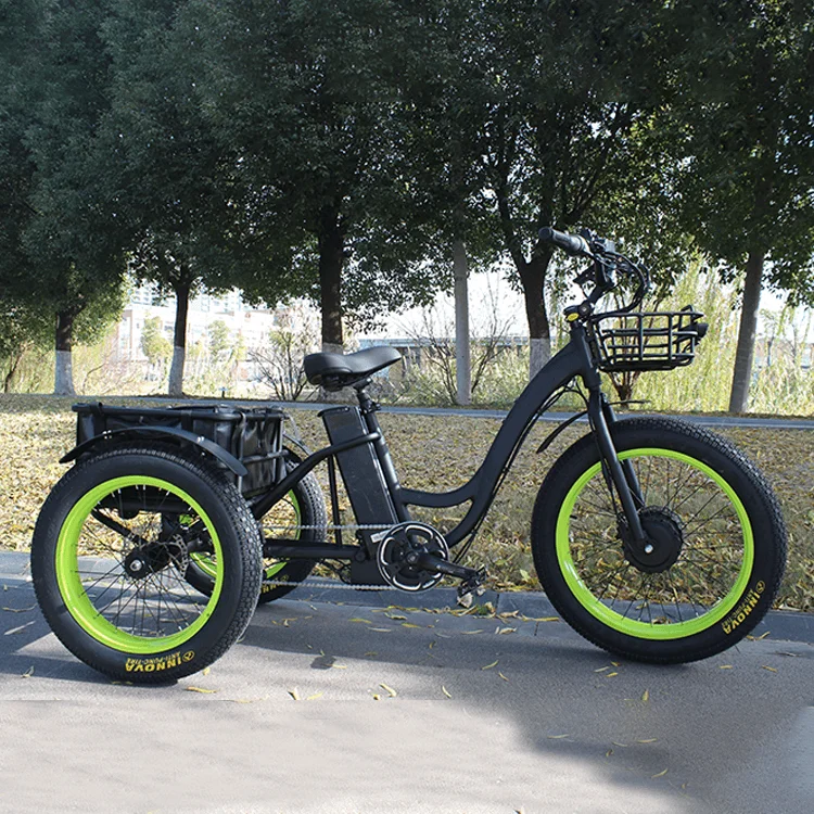 200Kgs Load 3 Wheel Fat Tire Electric Cargo Bike Tricycle Trike 48V 500W 750W 24 Inch Electric Bicycle Electric Cargo Bike