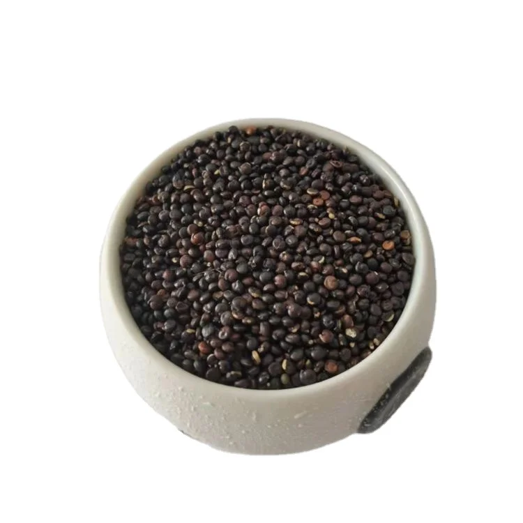 High protein premium quality traditional grain organic nutrition health black quinoa