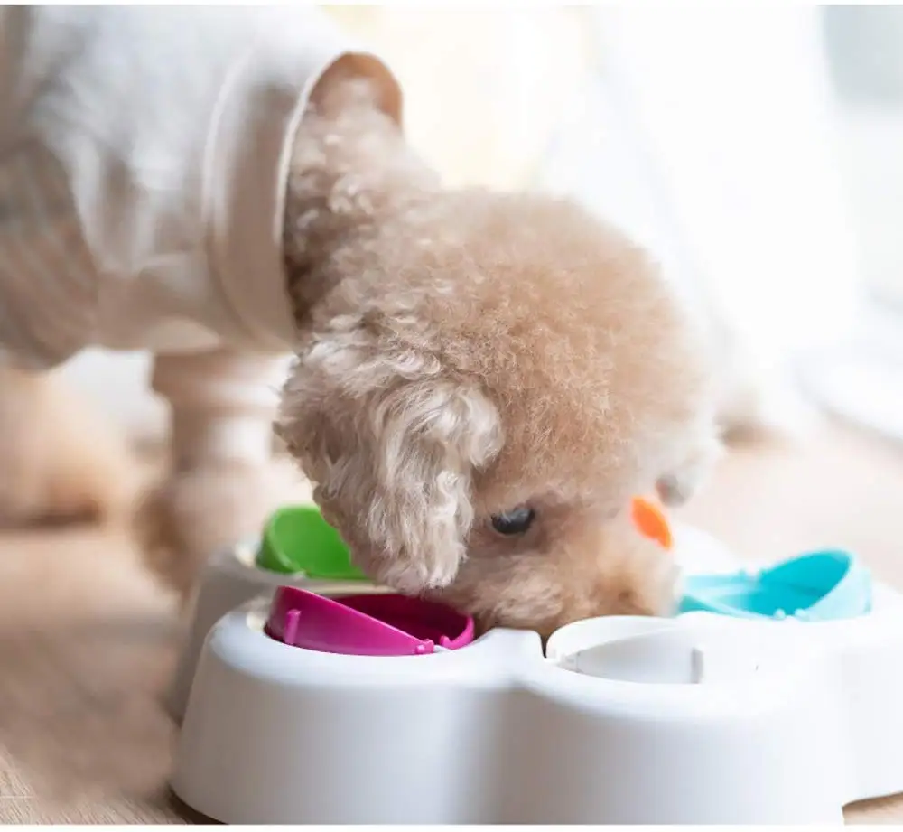 Pet IQ Intelligent Toy Smart Dog Puzzle Toys for Beginner Puppy Training Treat Dispenser Interactive Dog Toys