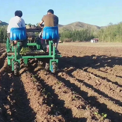 
onion planting machine self driving onion planter vegetable transplanting machine adjustable plant spacing and row spacing 