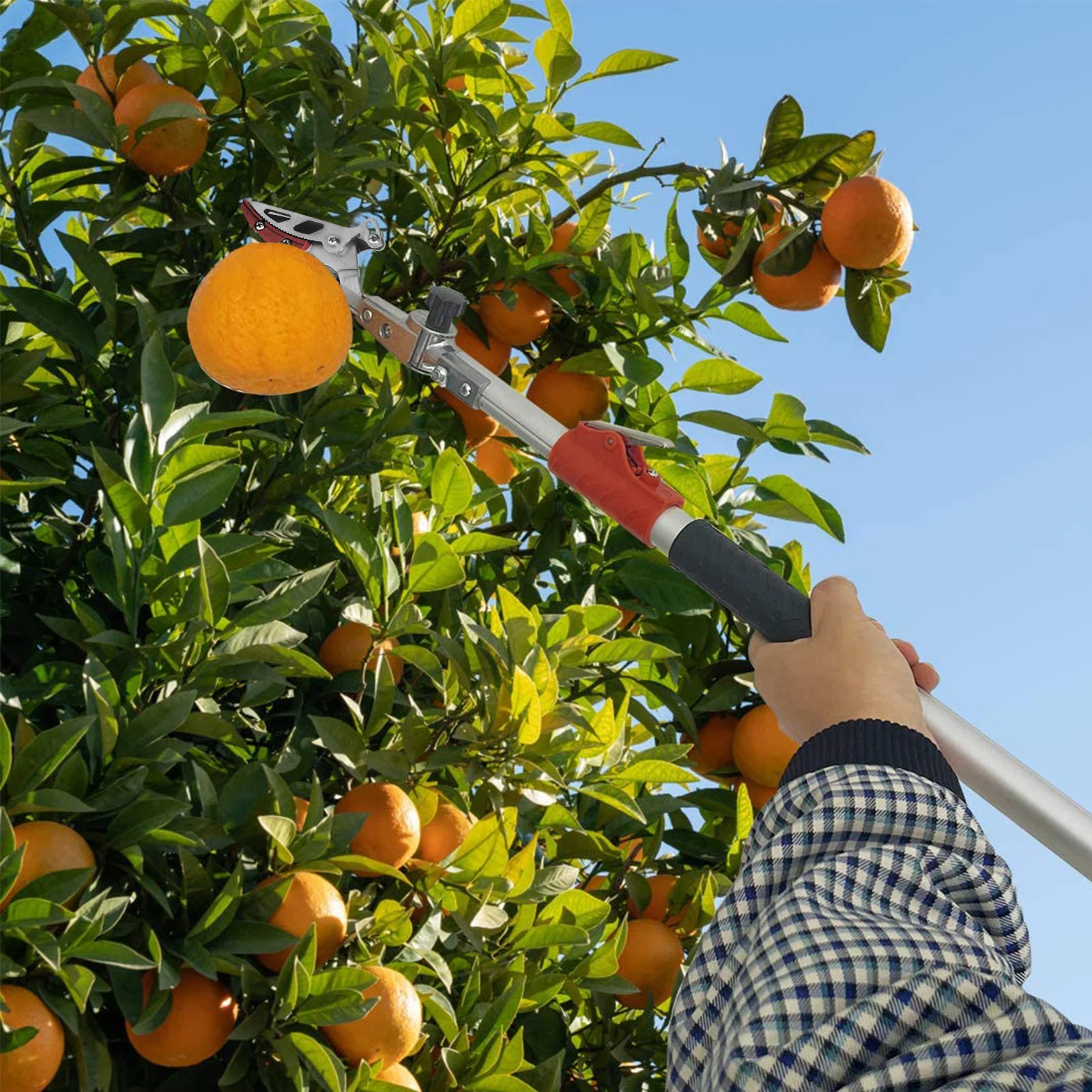 Long Length Folding Garden Picking Tools Cutter Picking Tools Tree Shears Fruit picker