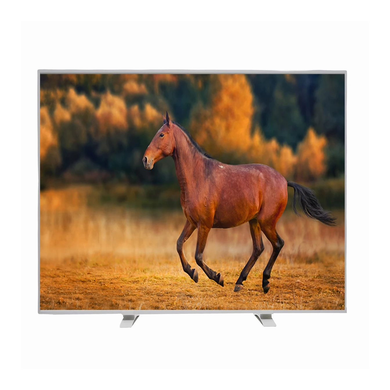 Cheap Custom 600W 100*60cm Electric panel infrared heater, CE carbon crystal wall ceiling mounted infrared panel heater