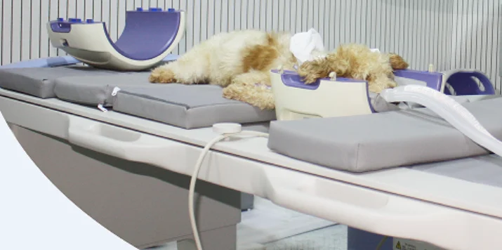 EUR VET High Quality Veterinary Equipment CT Scan Machine and MRI Scanner Machine Permanent Magnet MRI System