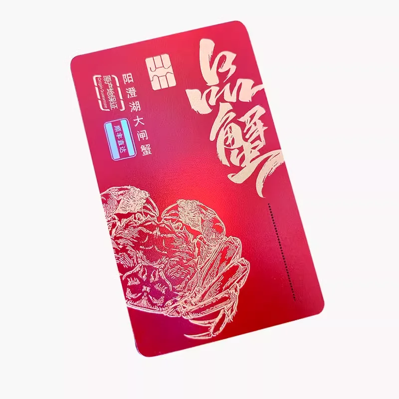 Professional Custom Printing Business Magnetic Stripe Gift PVC Card