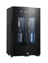 Wine Dispenser Machine Thermoelectric Cooling 2 Bottles Household Wine Cooler Red Single Glass Door Thermoelectric Refrigerator