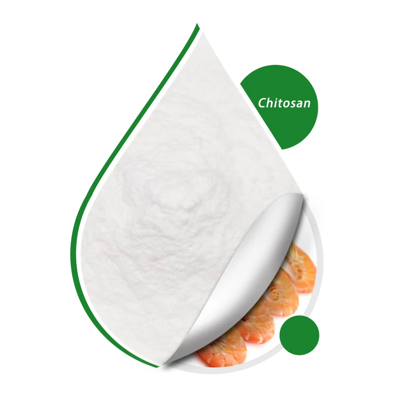 High Quality Natural Chitosan Powder CAS 9012-76-4 Deacetylated Chitin Degree 90% Food Grade Acetic Acid Soluble