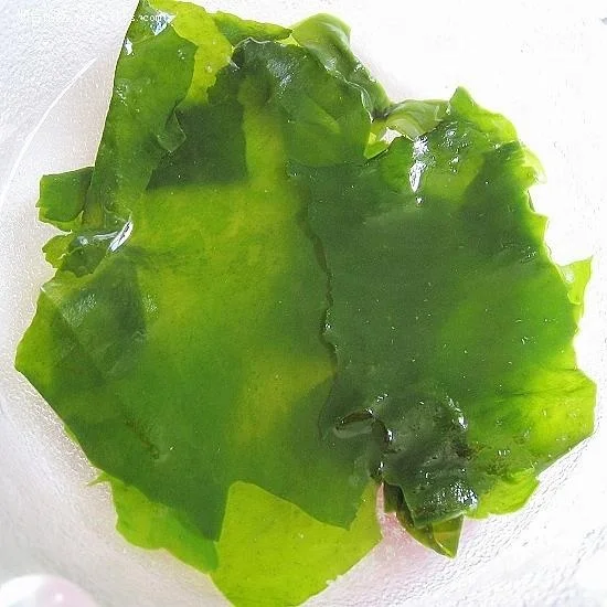 Морские водоросли ulva, морской салат ulva, Жареная мука